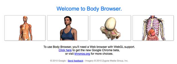 Google Body Browser
