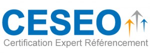 Certification Ceseo