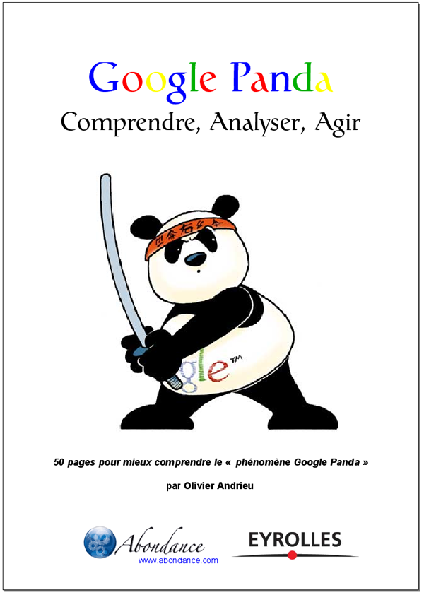Couverture ebook Google Panda