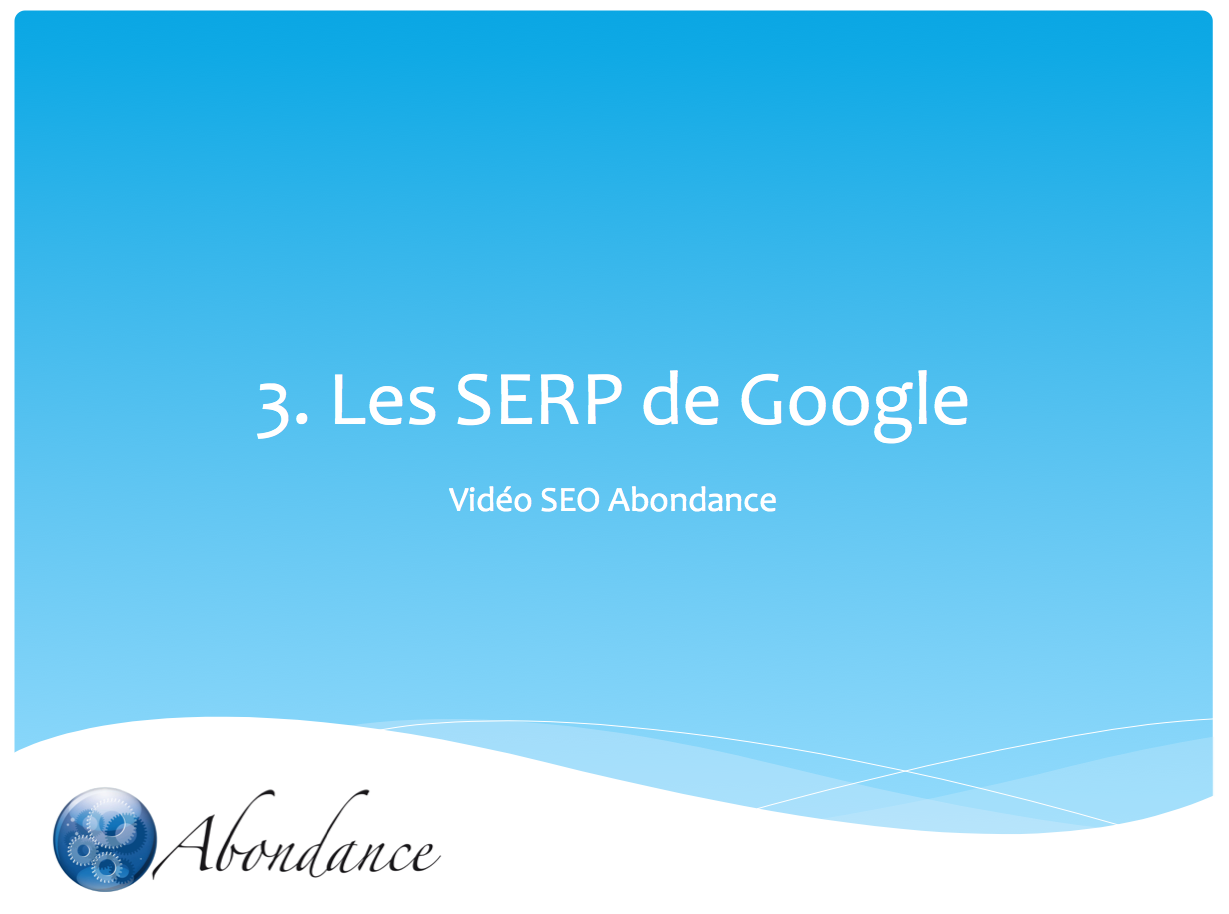 Video N°3 : SERP et SEO
