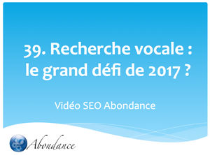 La Recherche Vocale, le Grand Défi de 2017 ?