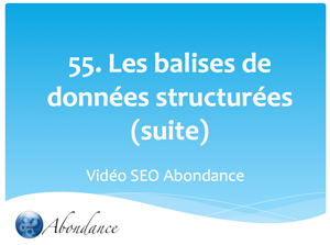 Les Balises de Données Structurées (suite)