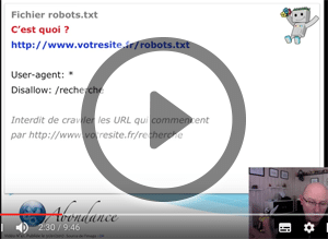 Fichier robots.txt et SEO. Vidéo SEO