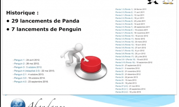 Comment savoir si votre site est impacté par Panda ou Penguin ? Vidéo SEO