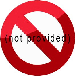 Définition : Le (Not Provided), c’est quoi ?