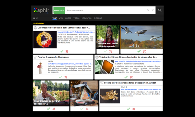 Qwant reprend Xilopix
