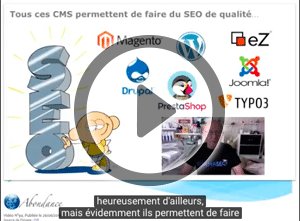 Quel CMS est le mieux optimisé pour le SEO ? Vidéo SEO