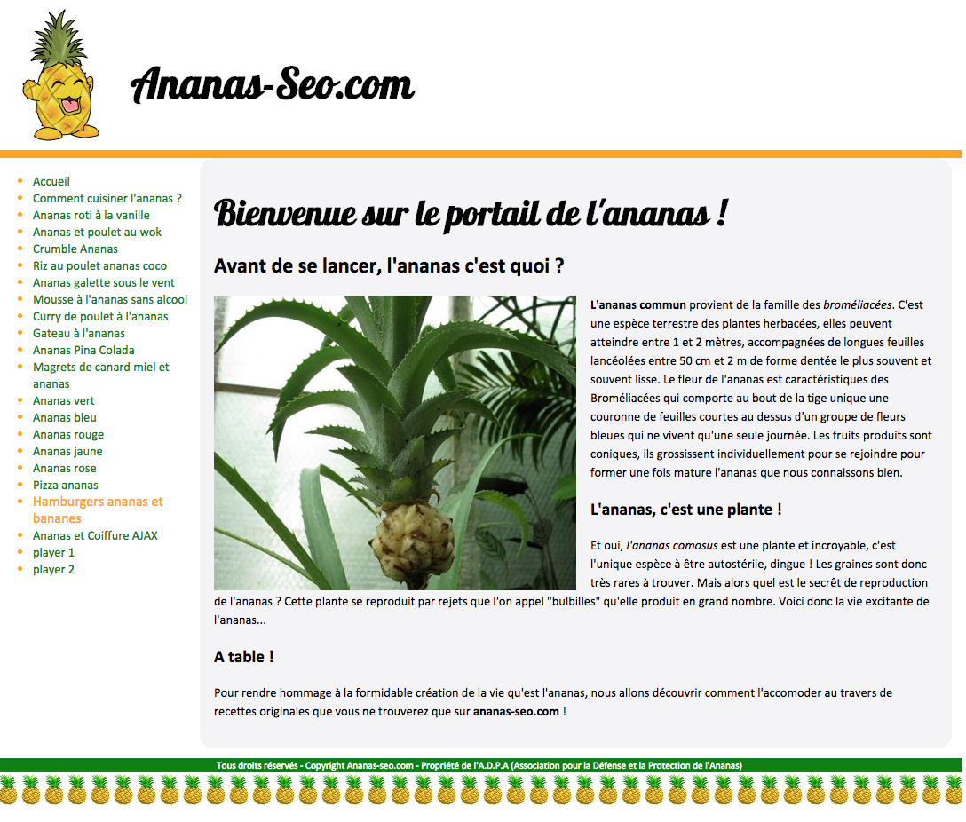 ananas-seo