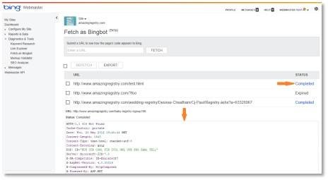 Bing Webmaster Tools Fetch as Bingbot