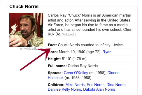 chuck-norris-google
