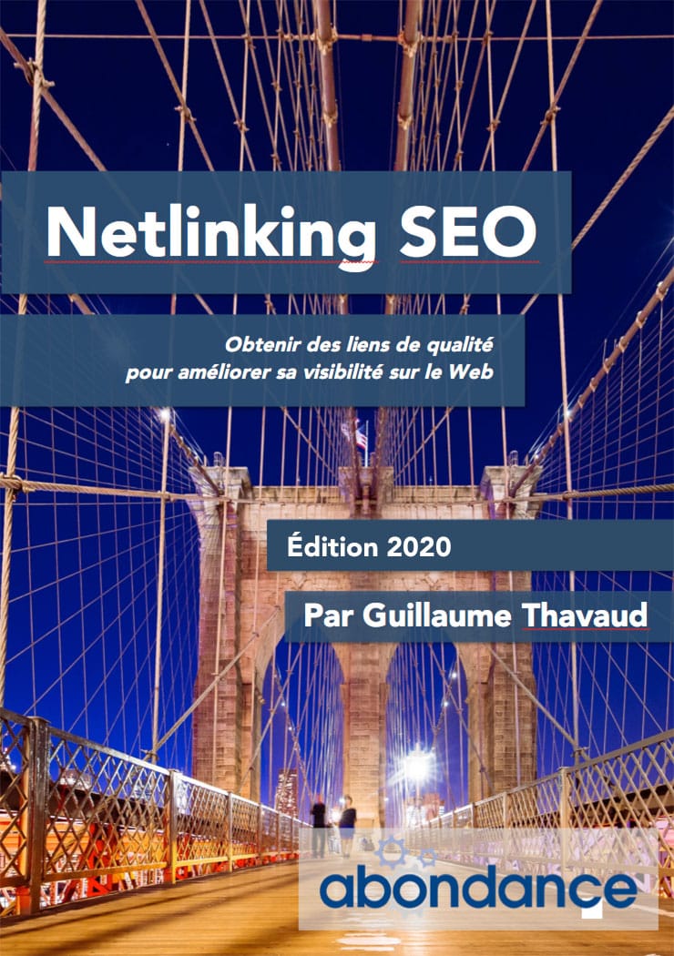 couverture-netlinking-seo-2020