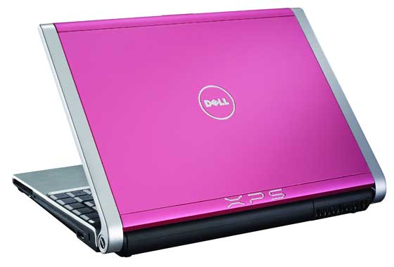 Portable Dell