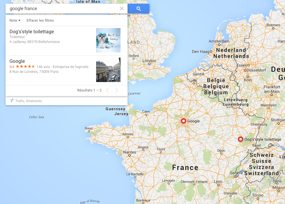 dogs-style-google-france