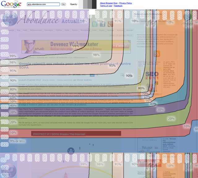 Google Browser Size