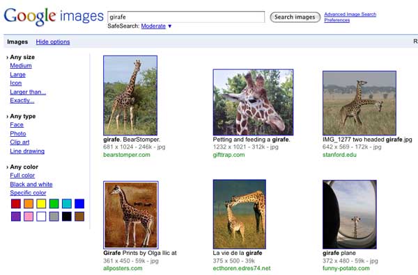 Google Images - Show Opions