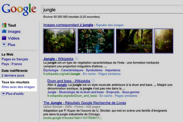 Résultats Google Recherche d'images correspondant à