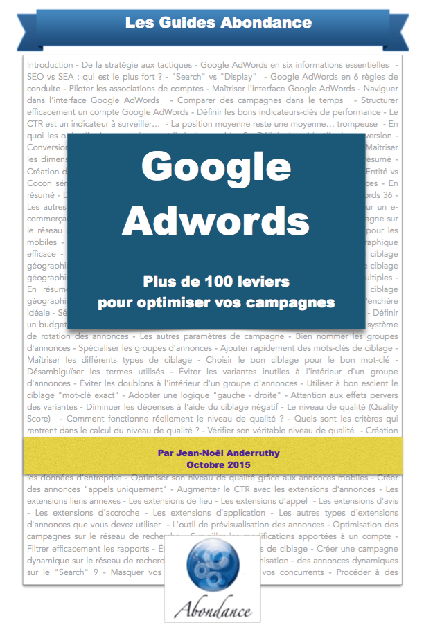 guide-adwords-couverture