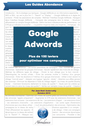 Guide PDF : Google Adwords - 100 leviers pour optimiser vos campagnes