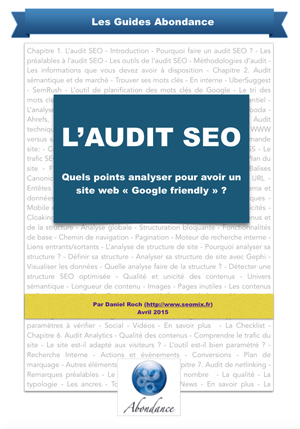 Guide PDF : L'Audit SEO - Quels points analyser pour avoir un site Google friendly ?
