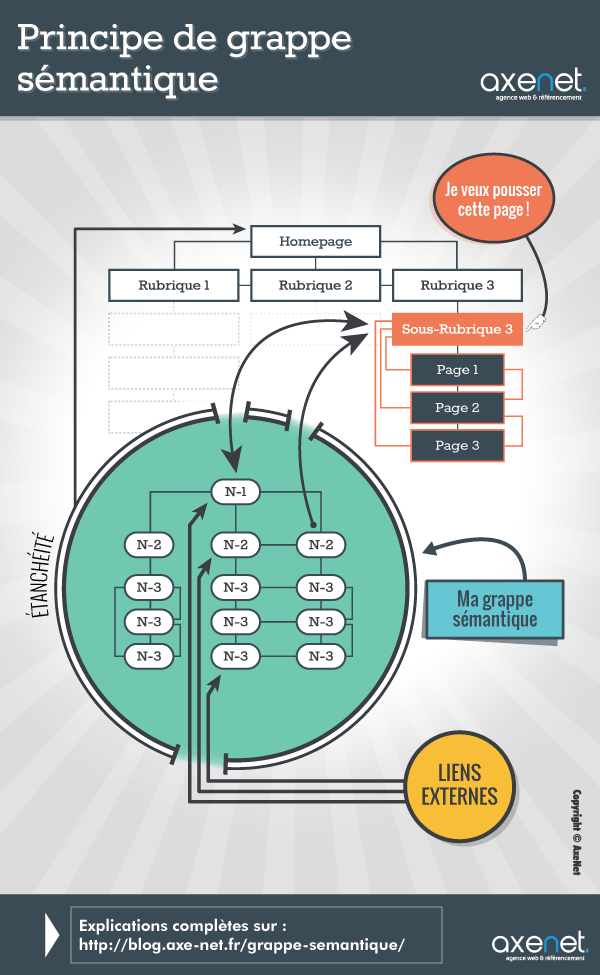 infographie-axenet-grappe-semantique