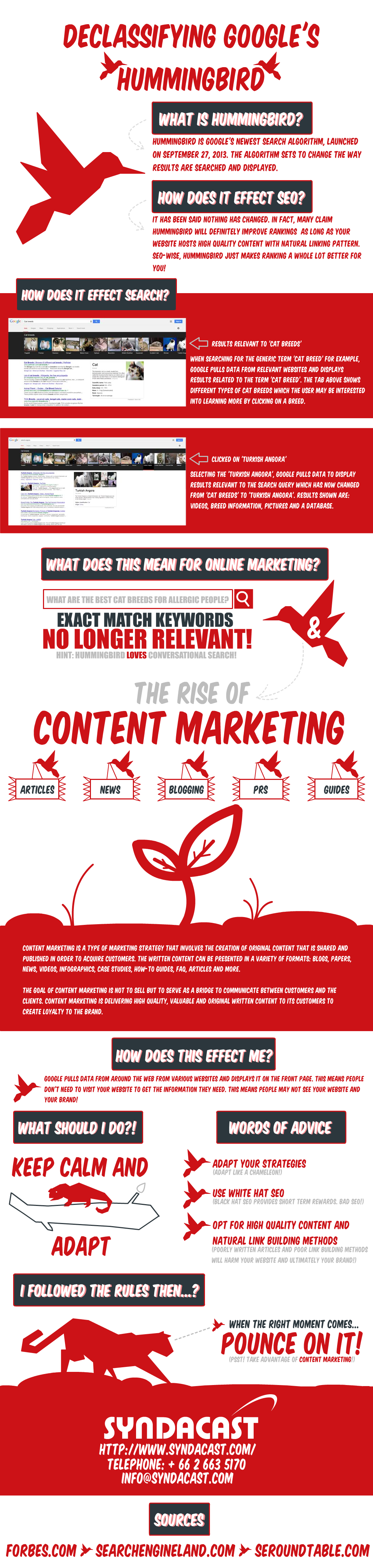 infographie-hummingbird