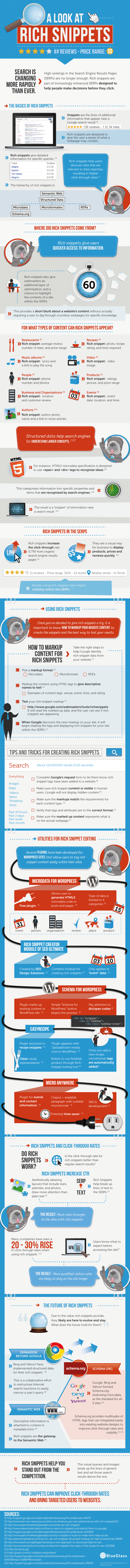 Infographie rich snippets