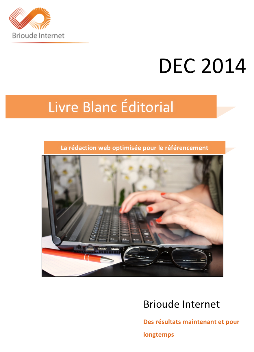 livre-blanc-contenu-seo