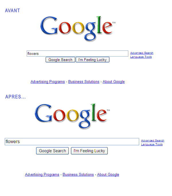 Google Search grande taille