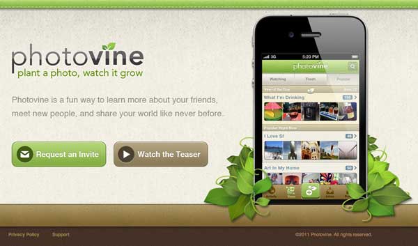 Google Photovine