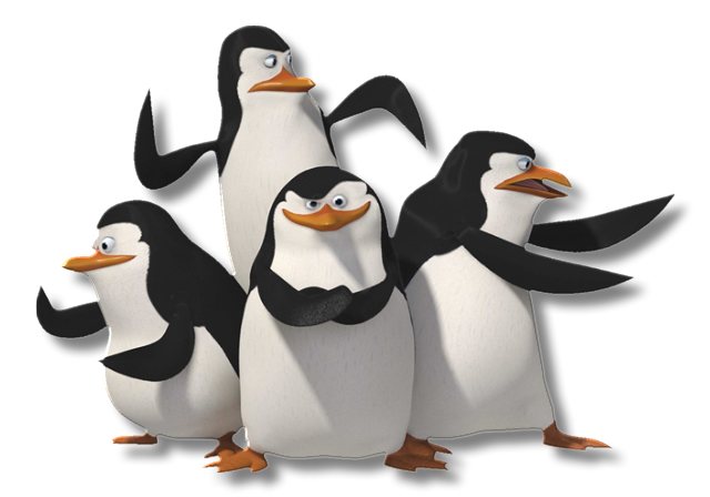 Pingouins Madagascar