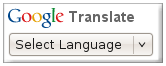 Google Translate Gadget