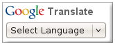 google translate