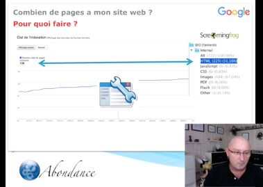 Combien de pages a mon site web (et pourquoi c'est important en SEO) ? Vidéo SEO