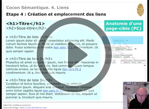 Le Cocon Sémantique : 4. Création des liens. Vidéo SEO