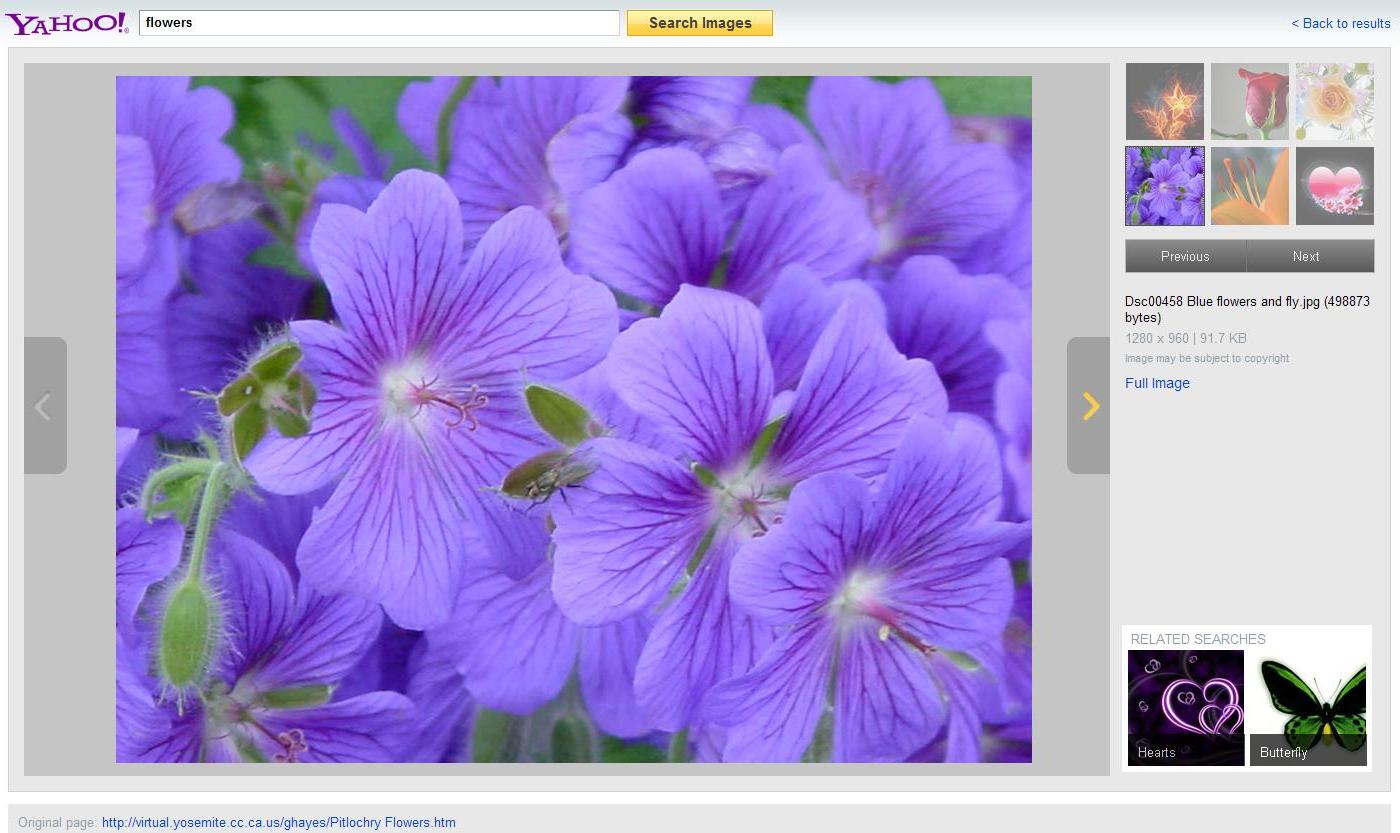 Yahoo! Images nouvelle interface