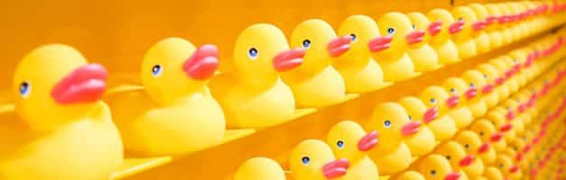 DuckDuckGo atteint les 30 millions de requêtes traitées chaque jour