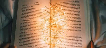Abondance Toute Lactualité Sur Le Seo Et Les Moteurs De