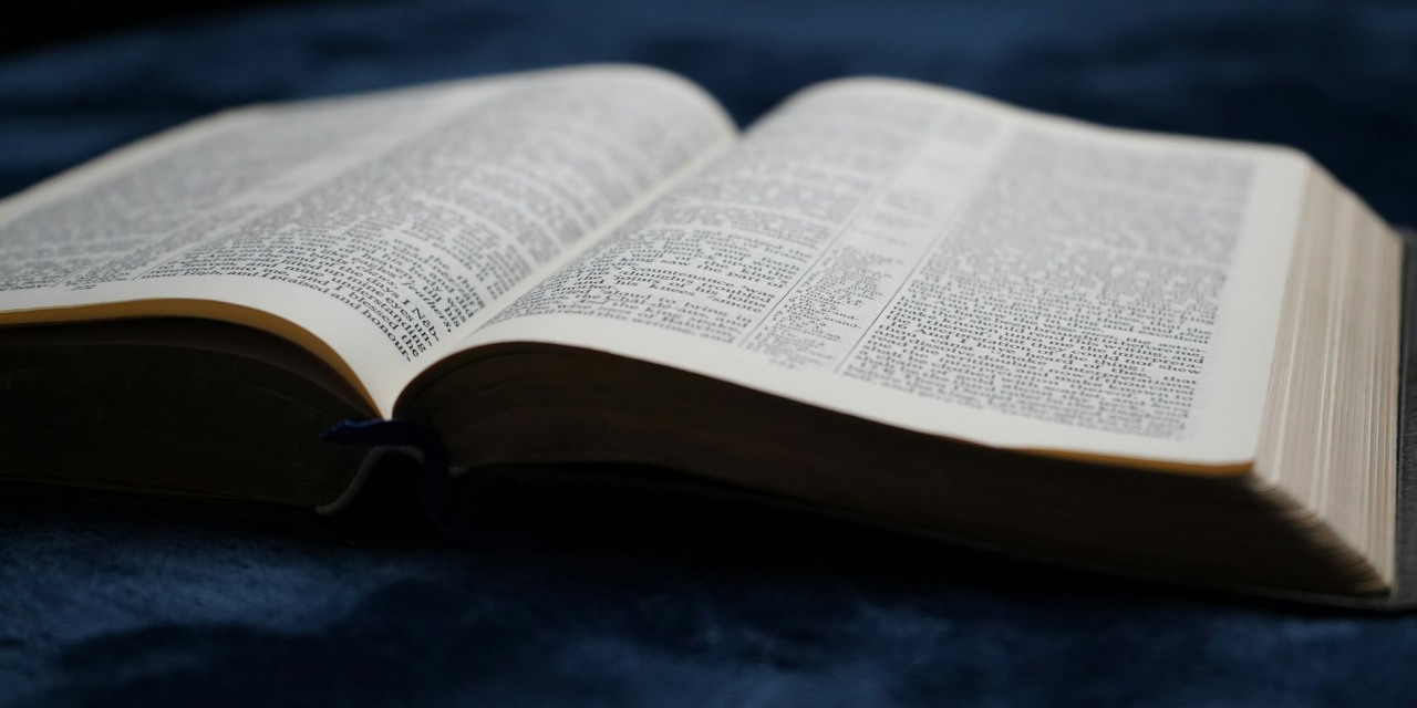 Audit SEO, SEO International, Cahier des charges SEO et Netlinking : 4 guides Abondance pour améliorer votre visibilité
