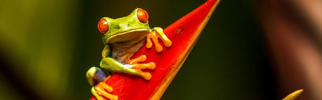 Comment bien configurer son crawl avec Screaming Frog