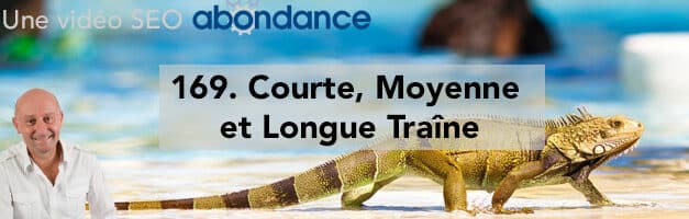 Courte, Moyenne et Longue Traîne –  Vidéo SEO Abondance N°169