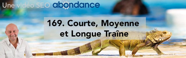 Courte, Moyenne et Longue Traîne –  Vidéo SEO Abondance N°169