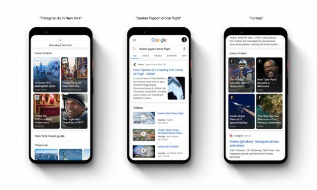 Les Web Stories disparaissent de Google Images : Quel futur pour ce format ?