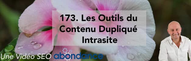 Les Outils du Contenu Dupliqué Intrasite –  Vidéo SEO Abondance N°173