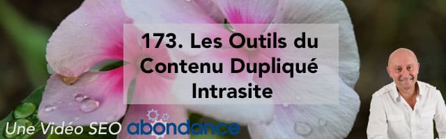 Les Outils du Contenu Dupliqué Intrasite –  Vidéo SEO Abondance N°173