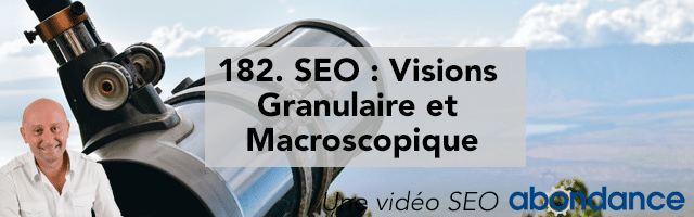 SEO : Visions Granulaire et Macroscopique –  Vidéo SEO Abondance N°182