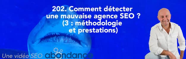 Comment détecter une mauvaise agence SEO (3e partie : Méthodologie et prestations) ? –  Vidéo SEO Abondance N°202