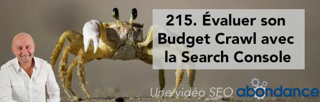 Évaluer son Budget Crawl avec la Search Console –  Vidéo SEO Abondance N°215