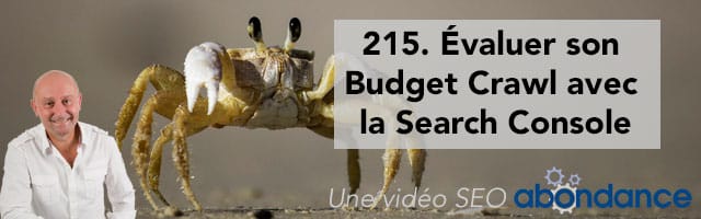 Évaluer son Budget Crawl avec la Search Console –  Vidéo SEO Abondance N°215