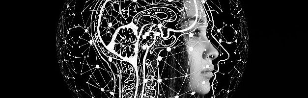 Les biais cognitifs à combattre pour être plus efficace en SEO