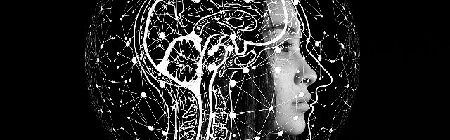 Les biais cognitifs à combattre pour être plus efficace en SEO